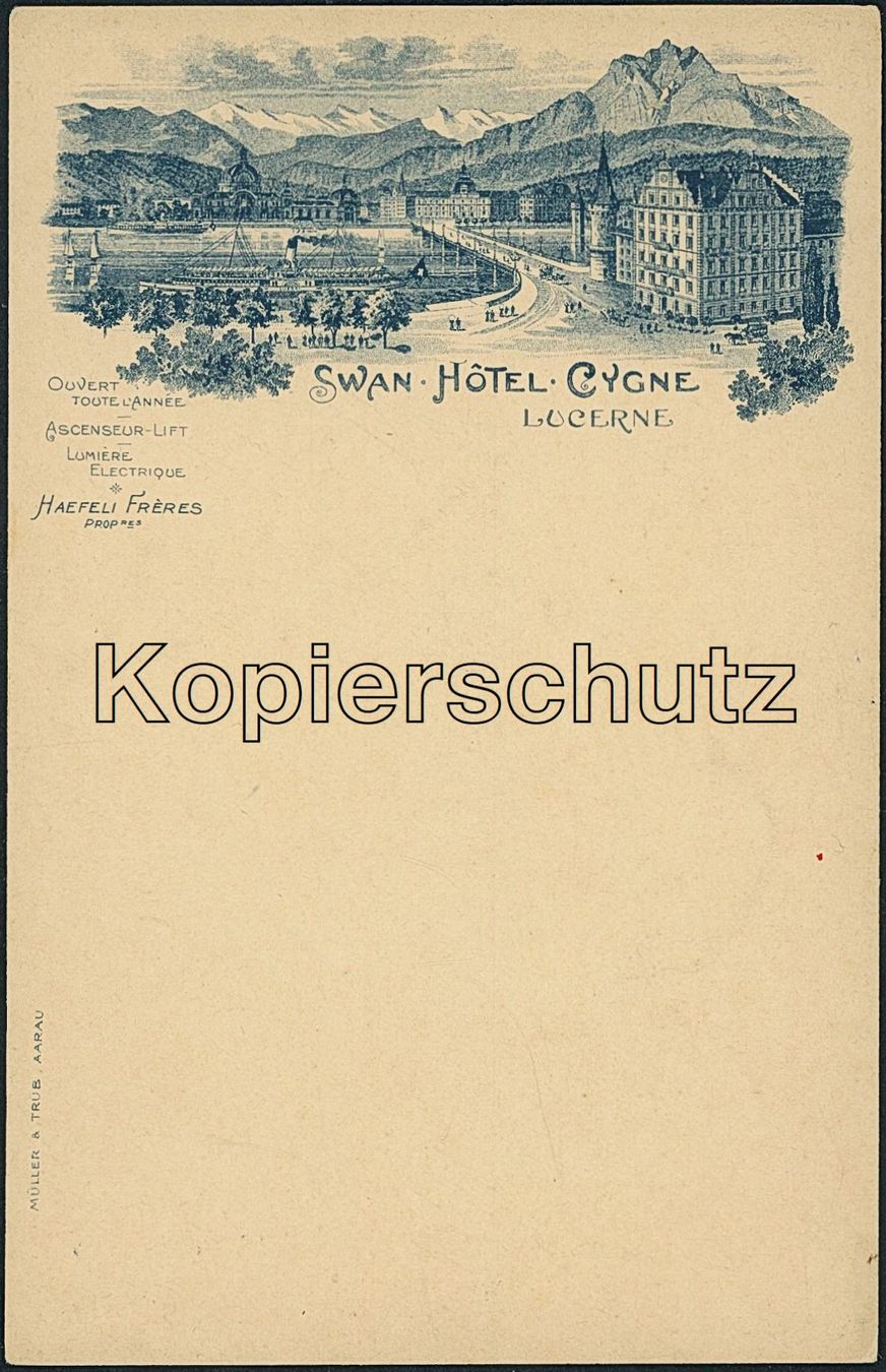 Cartoline postali: LUS Luzern - Litho – Nuovo (secondo la descrizione) da Schindellegi venduto da masutka7