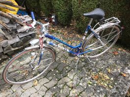 Medusa Fahrrad