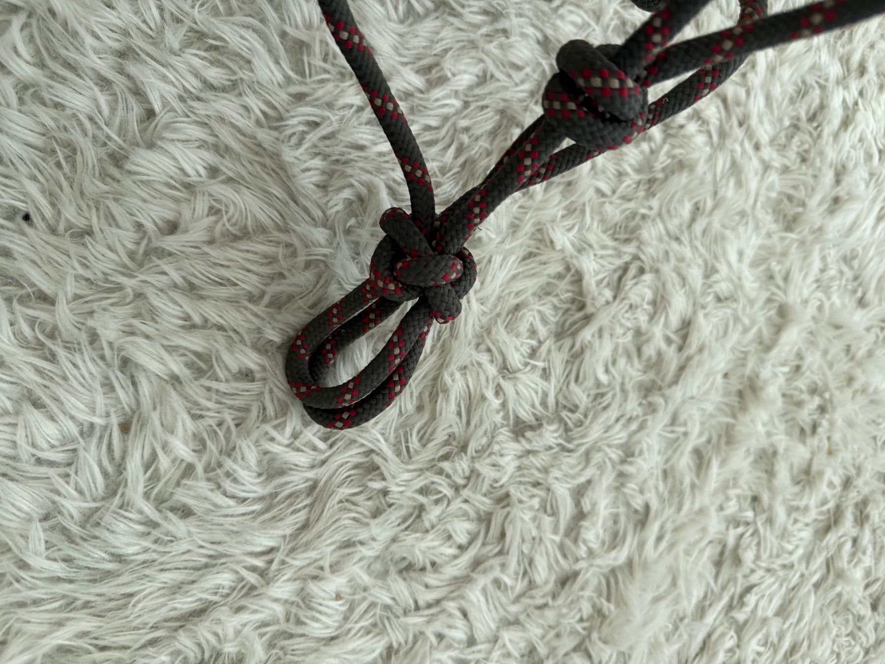Brides, licols: Knotenhalfter Vollblut – Neuf (Voir description) à Au SG par evi_86w5 1