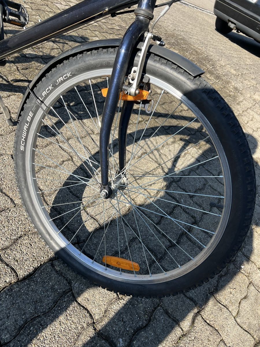 Velos: Herren fahrrad Travel – Gebraucht aus Tobel von honda955 3