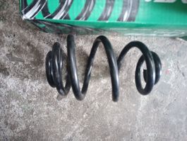 Schraubenfeder Hinterachse Feder VW