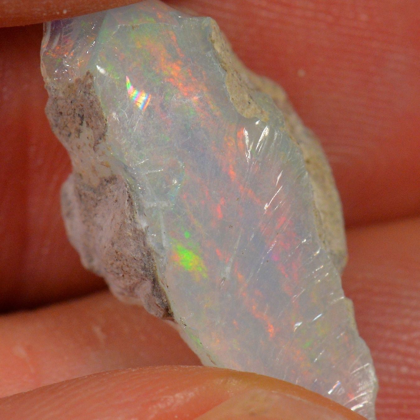 Pierres précieuses: 7.4 Karat - Roher Äthiopischer Welo Opal – Neuf (Voir description) à Rüti ZH par DeinOpal 2
