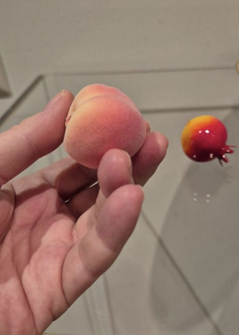 Giocattoli: Mini realistische Obst und Gemüse – Nuovo (secondo la descrizione) da Schaffhausen venduto da peggi77755 5