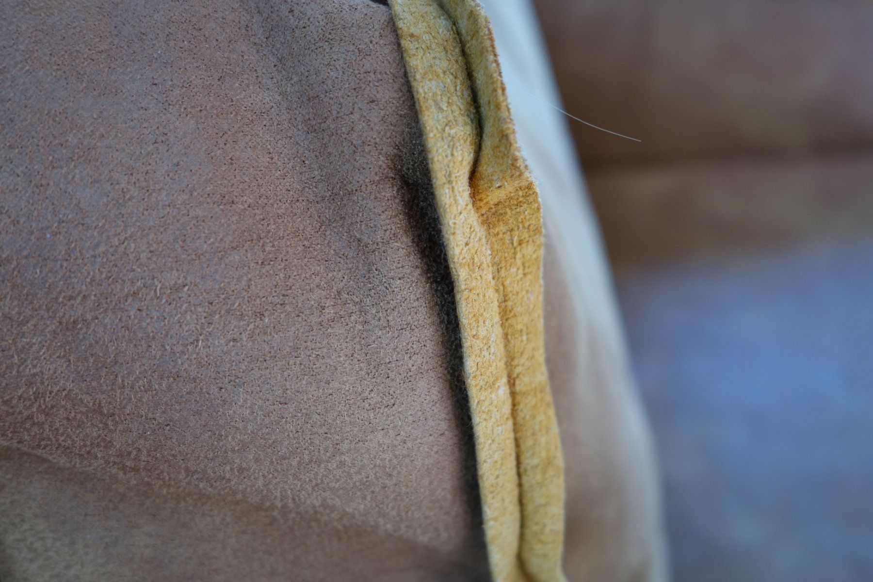 Divani: Be Pure Sofa aus Recycling Leder – Usato da Biel/Bienne venduto da Rothar 4