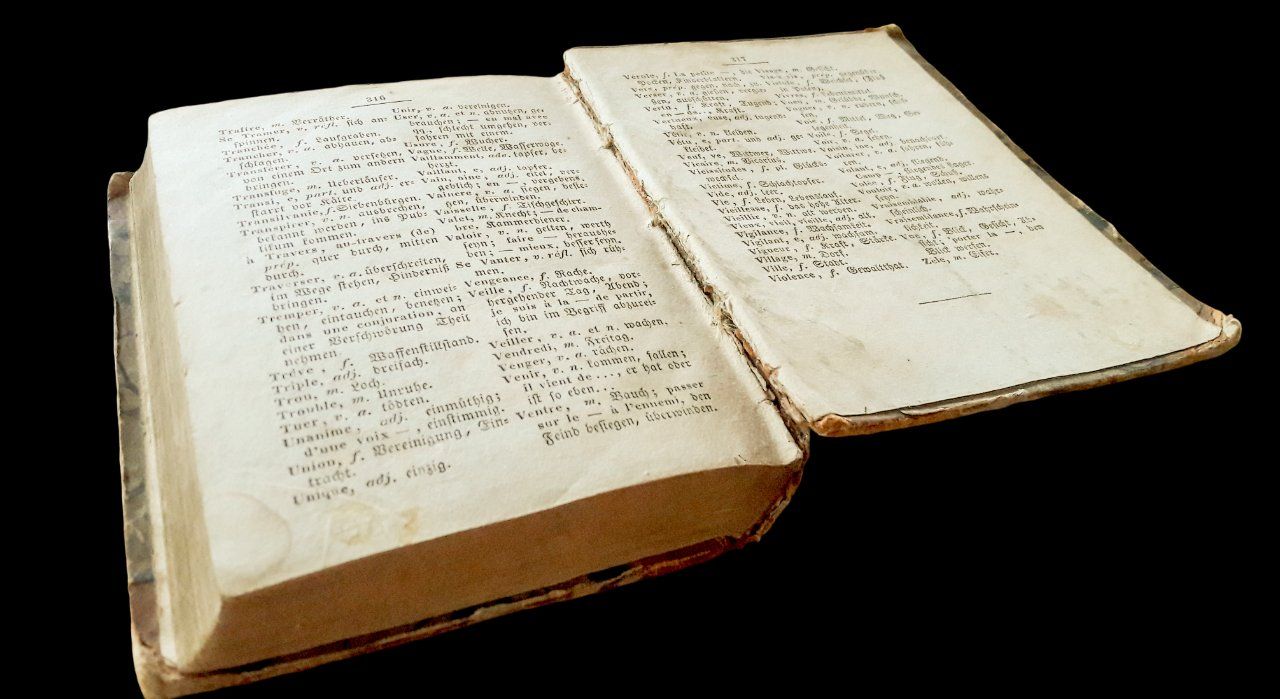Libri: Histoire Charles XII Voltaire Leipzig Schaarschmidt 1832 – Usato da Tavannes venduto da Nekosumi 2