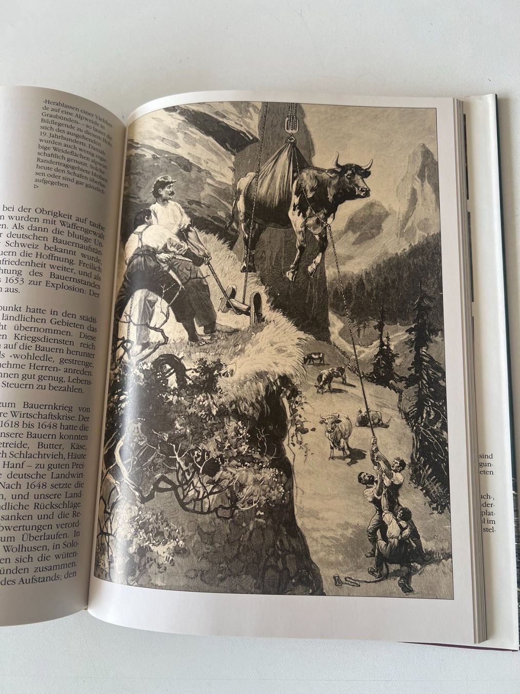 Libri: BAUERNLAND SCHWEIZ, 1987 – Usato da Worb venduto da farben20zauber 4