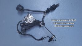 Harley Sportster XL 1200 Bremsanlage  hinten