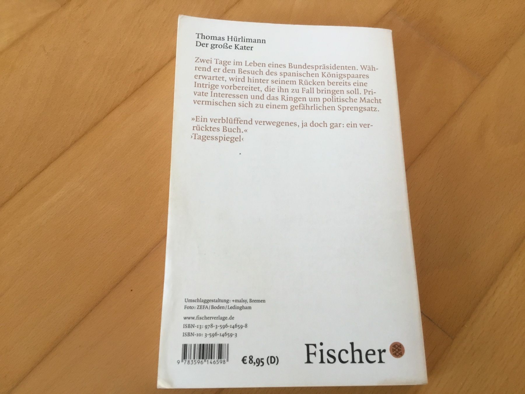 Libri: Der grosse Kater - Thomas Hürlimann – Usato da Kerzers venduto da Georges3210 1