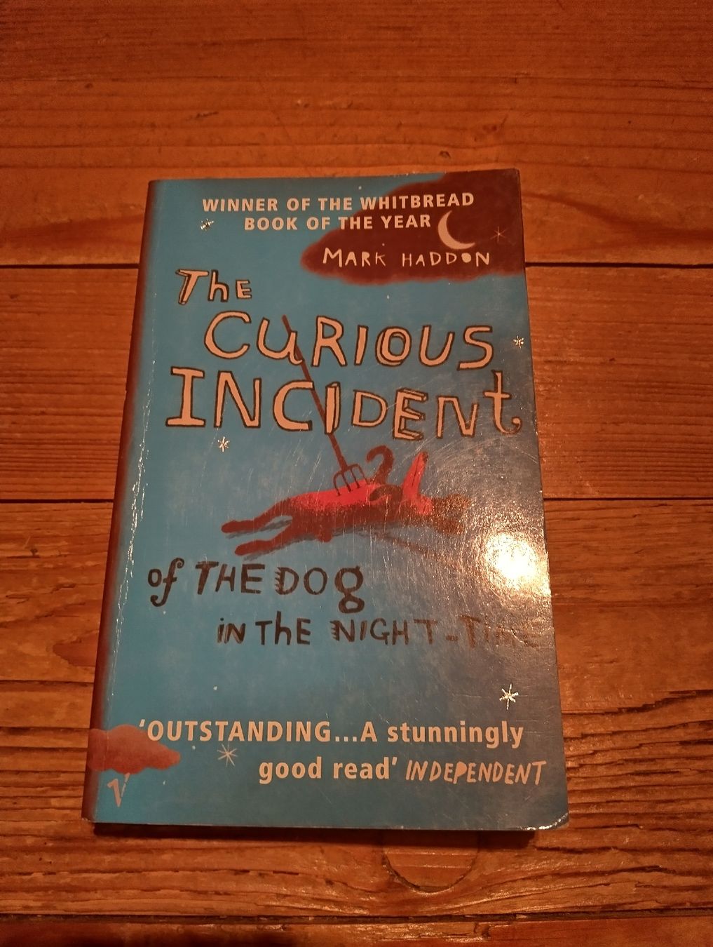 Libri: the curious incident – Usato da Rüedisbach venduto da aendu010