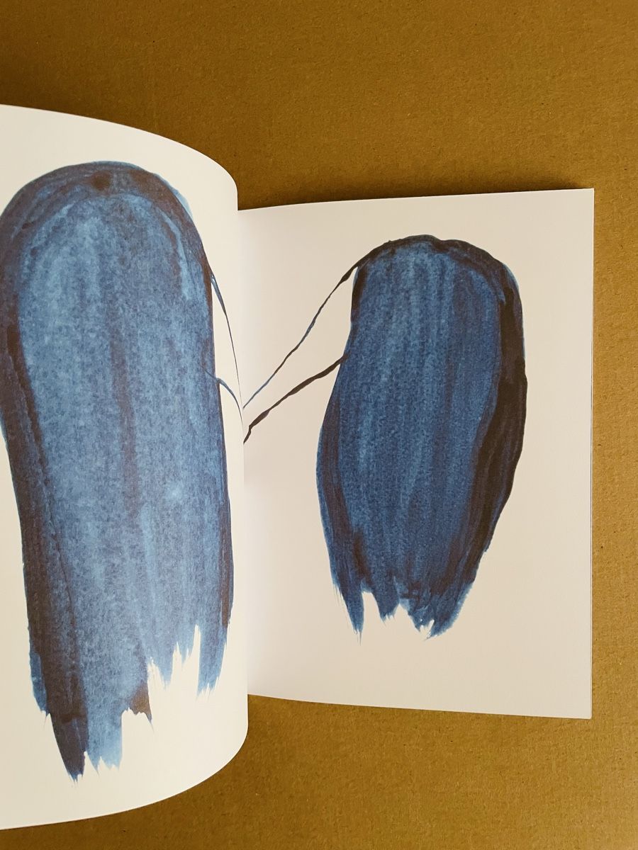 Libri: Sabian Baumann: Jeder Tag blau – Nuovo e nell'imballaggio originale da Basel venduto da aharon.no1 2