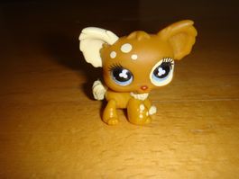 Littlest pet shop Chihuahua