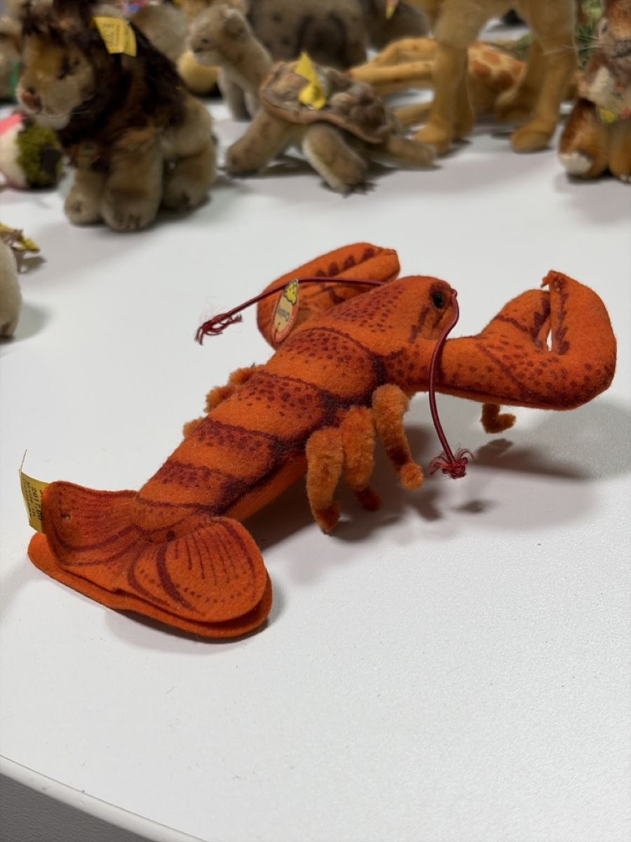 Steiff Giocattoli: Steiff Krabbe "Crabby" Made in Germany 100% Wolle – Usato da Dietikon venduto da cre8different 4