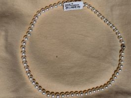 New 750 gold and pearl Akoya necklace