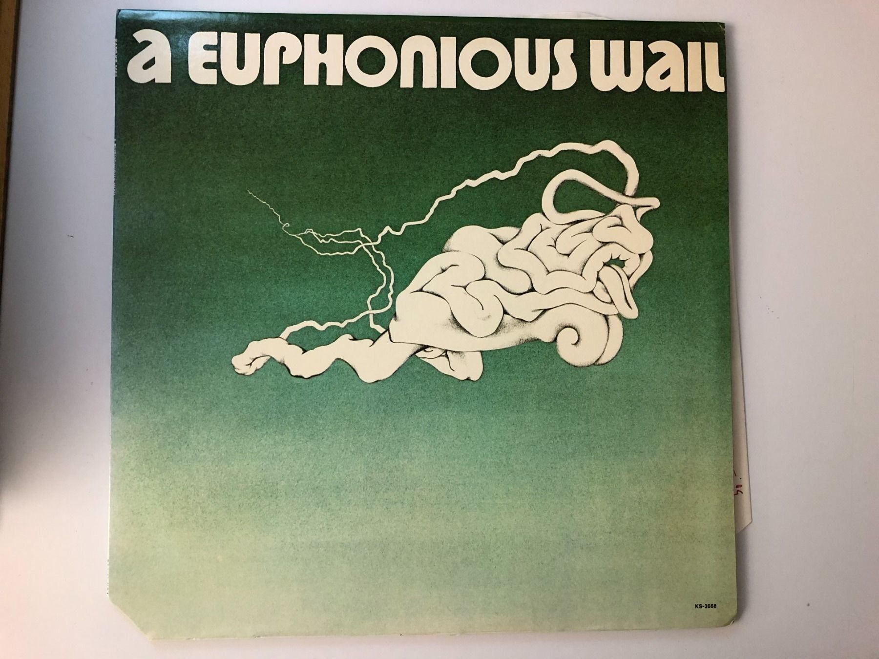 Vinyles: A EUPHONIOUS WAIL - same – D'occasion à Zufikon par mirageg5