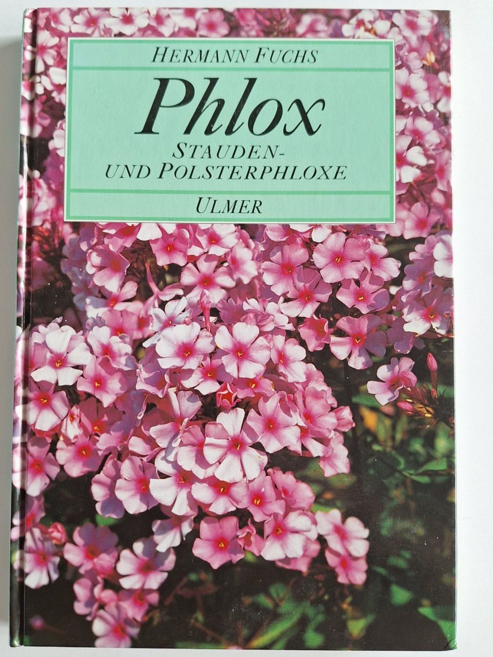 Libri: Phlox, Stauden- und Polsterphlox Buch – Usato da Zürich venduto da t24_de