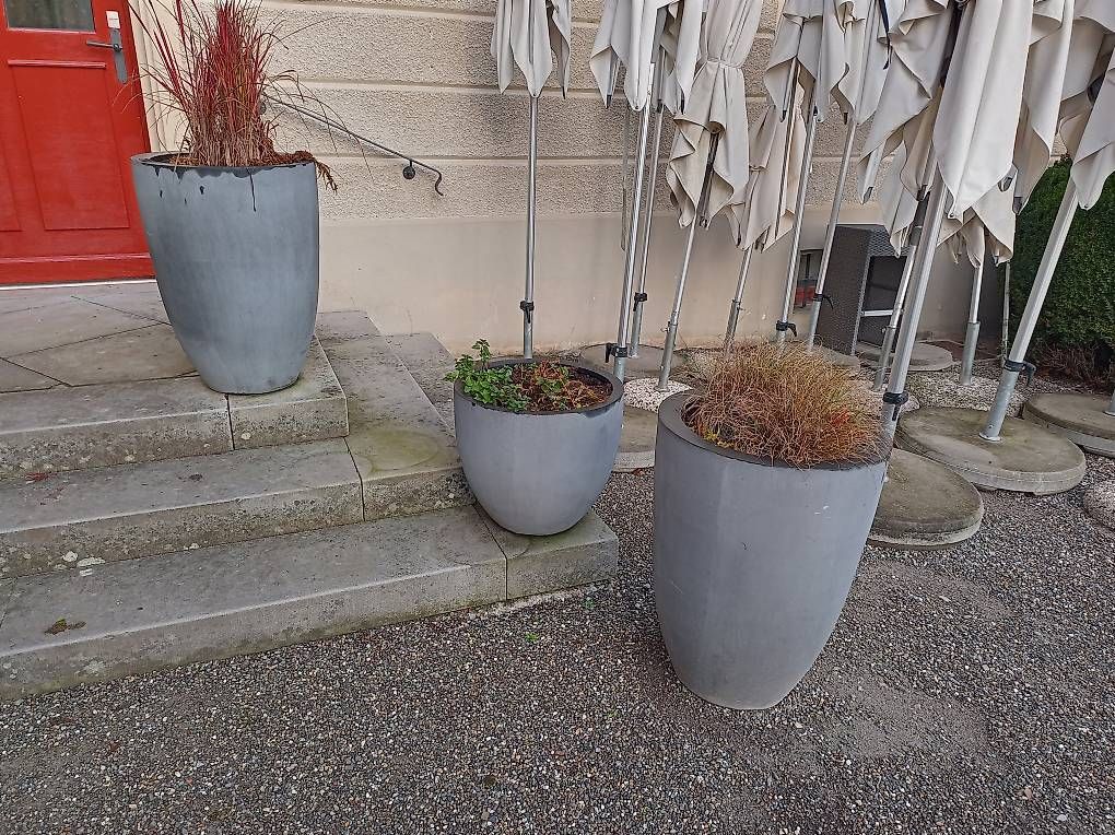 Blumentöpfe: Pflanzentopf mittel gross – Gebraucht aus Altnau von ja__2m99