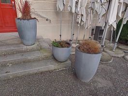 Pflanzentopf mittel gross