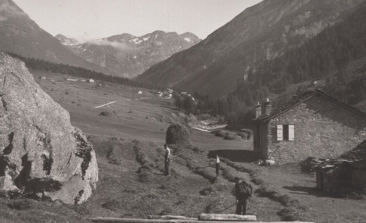 Ansichtskarten: Val  Ferret,  la saison des foins – Gebraucht aus Aarau von kufi44 1