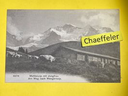 1917 Mettlenalp mit Jungfrau - Am Weg nach Wengernalp