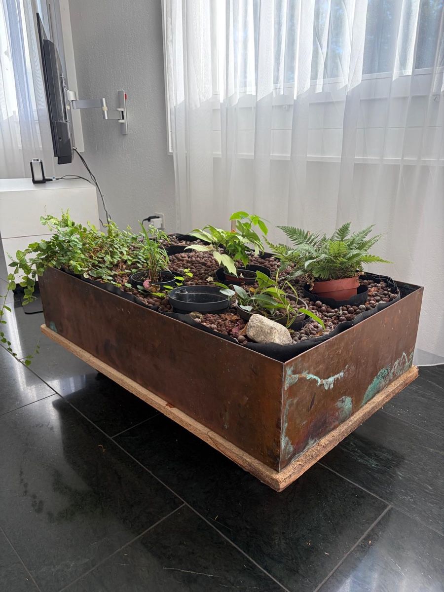 Vasi per fiori: Moderne Blumenkrippe mit eckiger Kupferwanne  – Usato da Wettingen venduto da gio_d29c 2