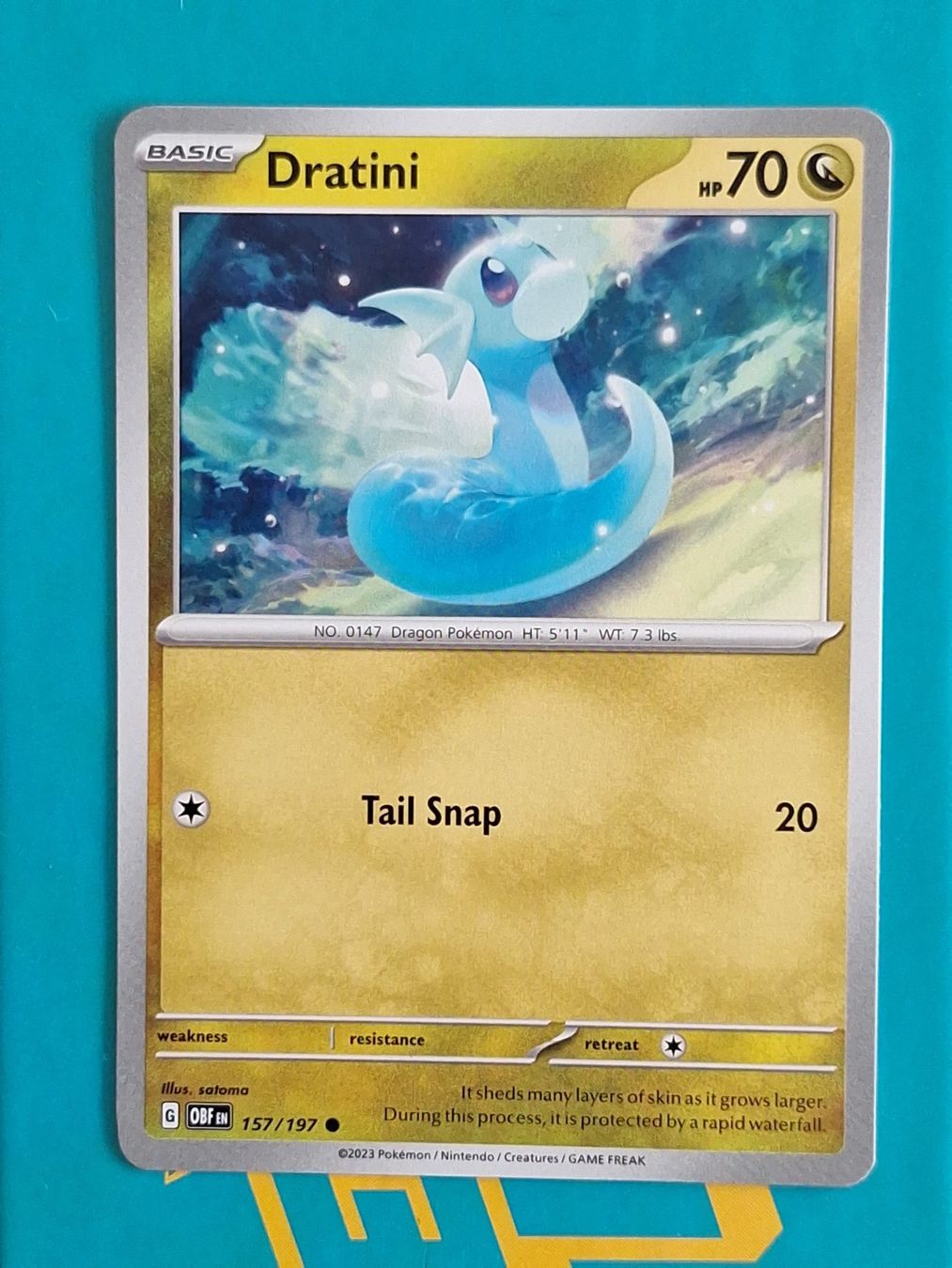 Pokémon Carte collezionabili: Dratini - Pokemon Obsidian Flames – Usato da Altstätten SG venduto da GGsGameshop