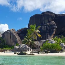 Profile image of Seychellen2023