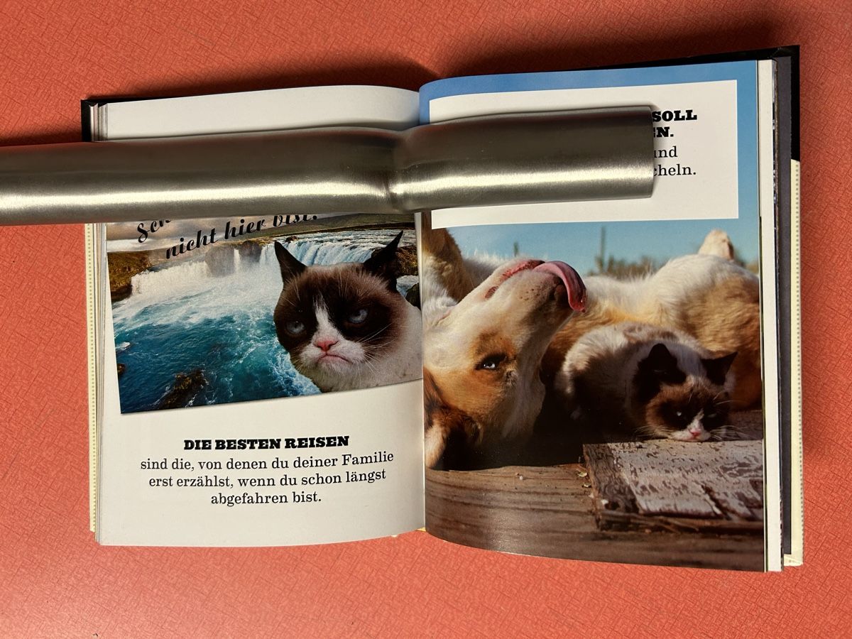 Libri: Grumpy Cats Grumpy Guide to Life Buch guter Zustand – Usato da Lanzenhäusern venduto da vic63 5