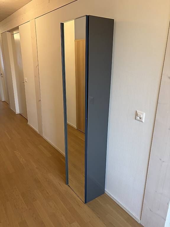 Armadietti a specchio: Schrank mit Spiegel – Usato da Inwil venduto da mat_mh2s 1