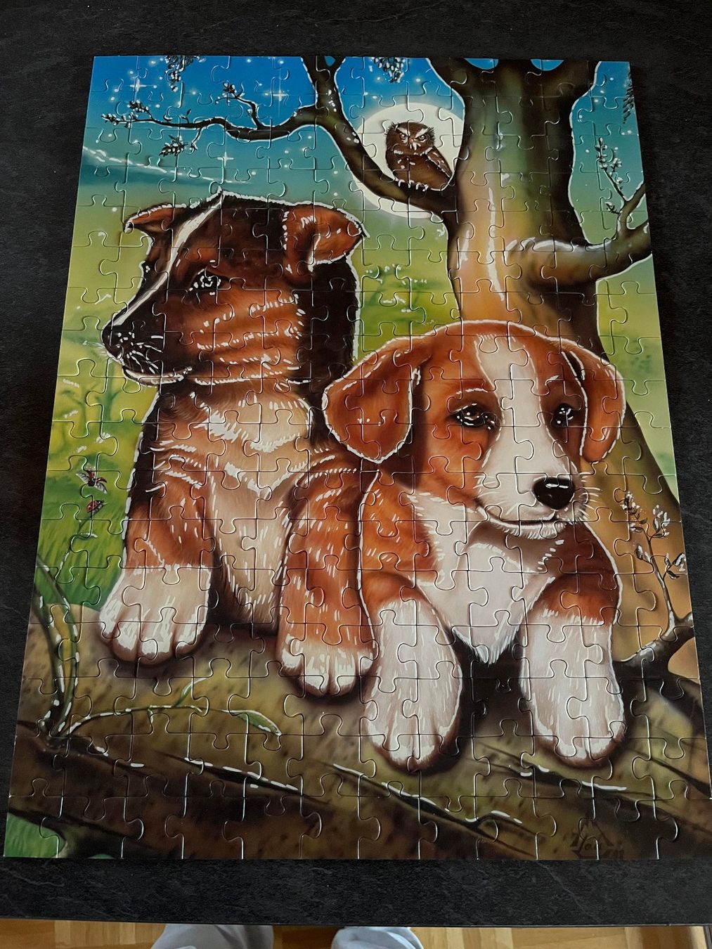 Ravensburger Puzzle: Ravensburger Puzzle Star Line, 200 Teile – Usato da Menziken venduto da Bastelchaos