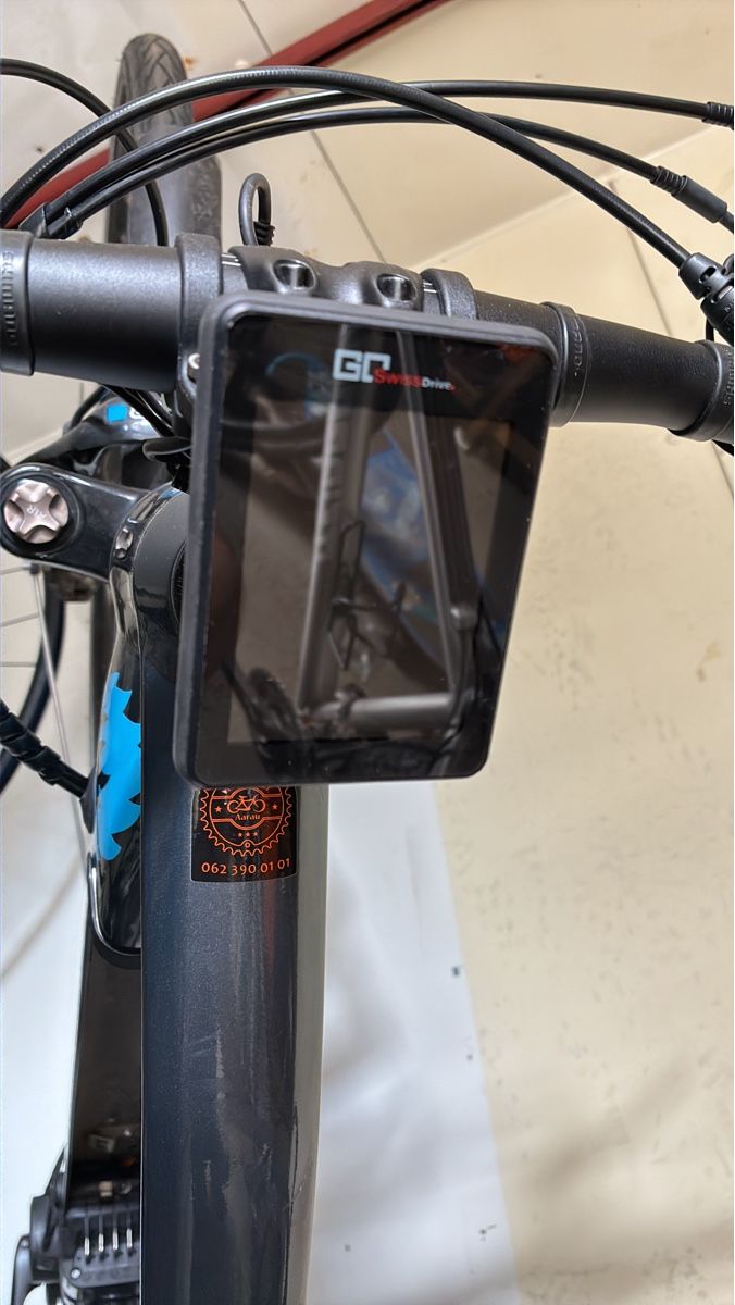 Pezzi di ricambio: SwissDrive Go! Velo Computer – Usato da Kölliken venduto da Razorback2