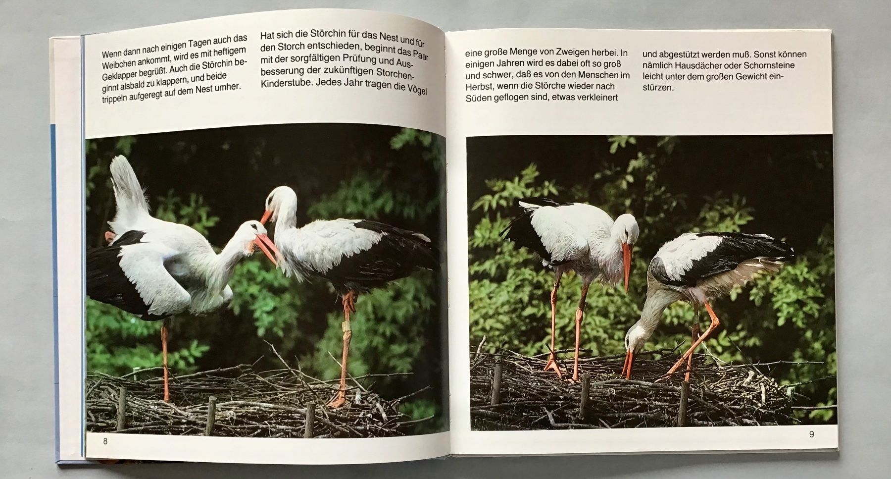 Libri: Fotobuch: Das Storchenjahr – Nuovo (secondo la descrizione) da Bubendorf venduto da Alpenheidi 5