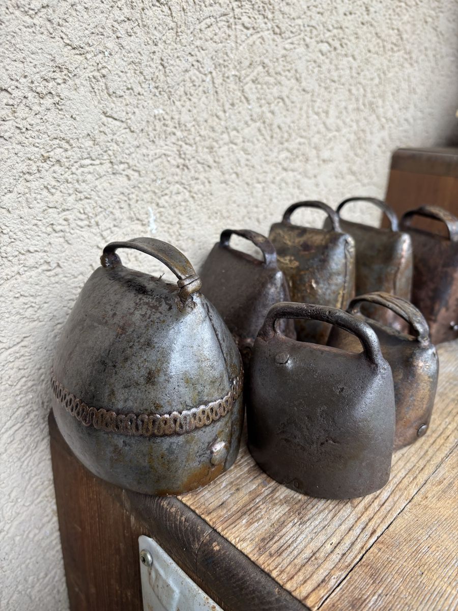 Campanacci mucche: 10 Alte Treicheli – Usato da Schangnau venduto da Roseggli82 7