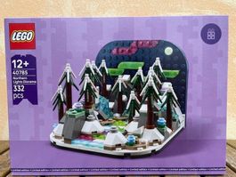 LEGO 40785 Nordlichter Diorama, Winter-Set, Neu & OVP!