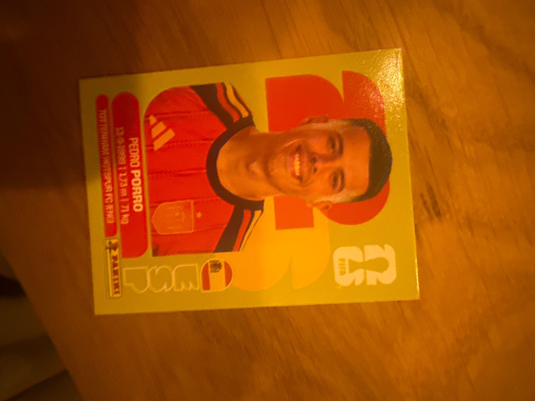 Panini Carte collezionabili: Panini – Usato da Langnau i. E. venduto da Acrjl