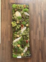 Wandbild Moos