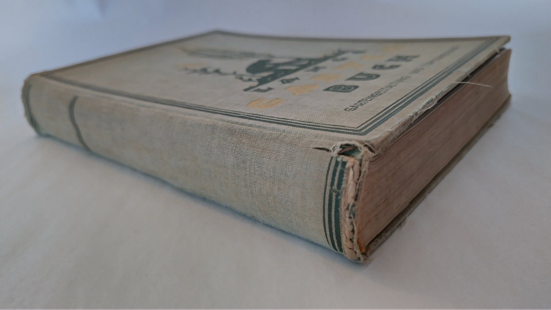 Libri: Allgemeines Gartenbuch 1926 / Gartengestaltung + Topfblumen – Usato da Bellach venduto da JingleJerry 1