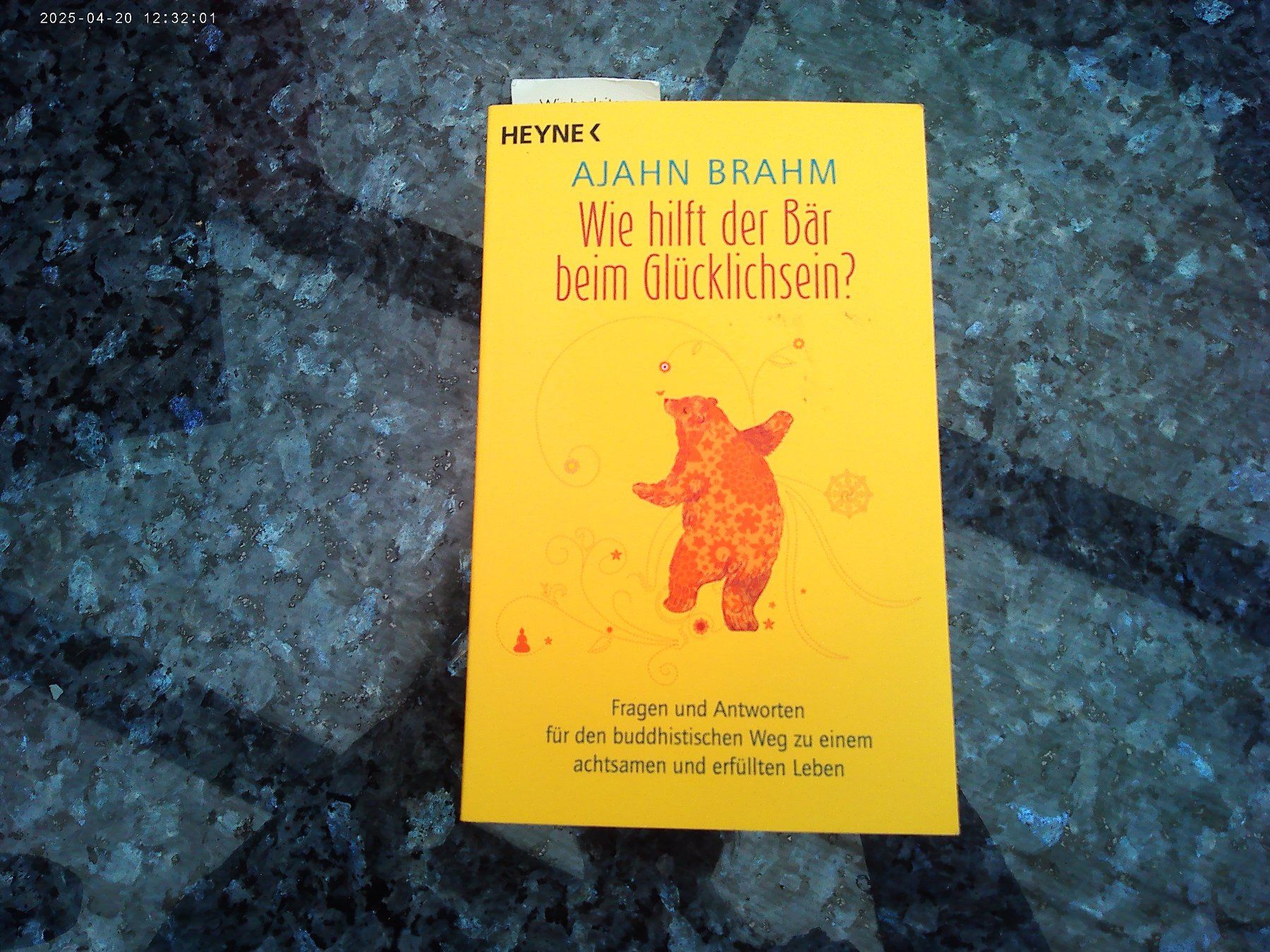 Libri: Wie hilft der Bär beim Glücklichsein? – Usato da reitnau venduto da Sib7