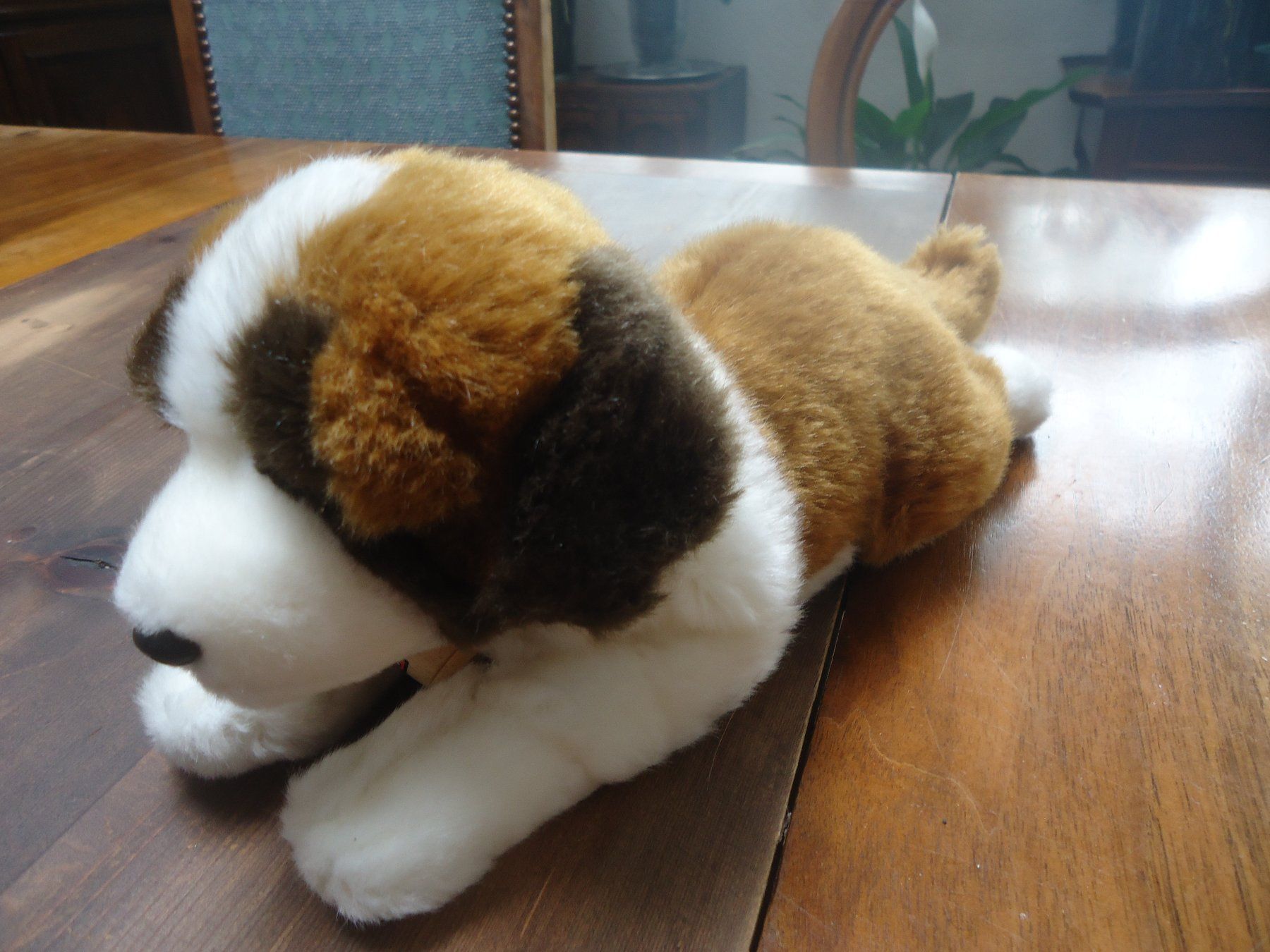 Giocattoli: Peluche de chiot Saint-Bernard couché endormi - Neuve – Nuovo (secondo la descrizione) da Vessy venduto da mafabe