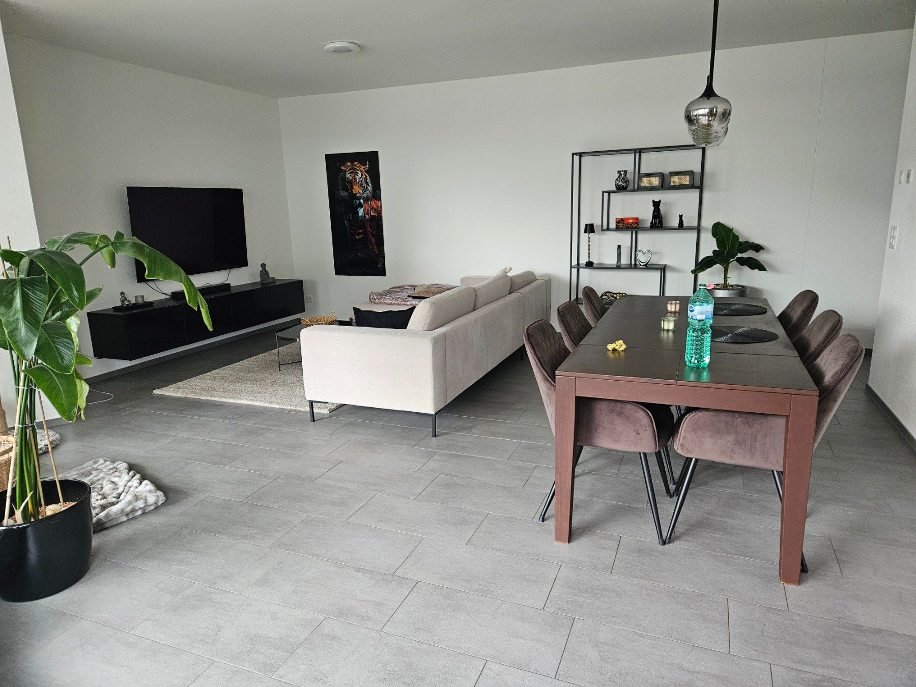 Sedie: 6 Esszimmer-Stühle dunkelbraun – Usato da Winterthur venduto da Linda1203 8