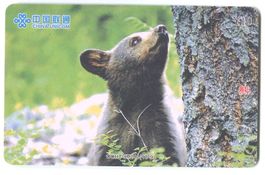 Telefonkarte "Braunbär".