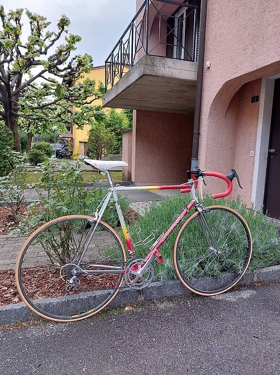 Biciclette: Colnago Master – Usato da Capolago venduto da cus_pgs9 4