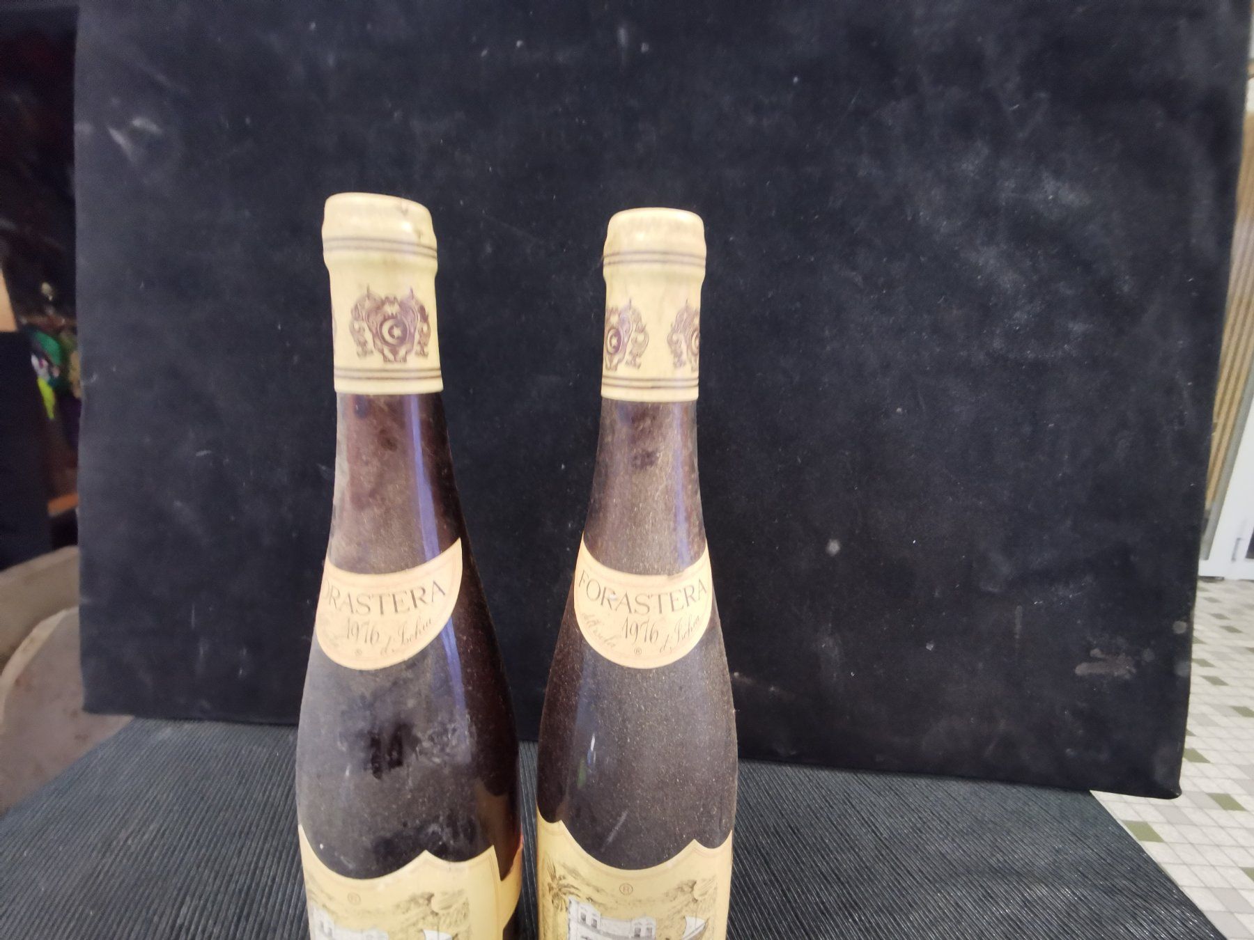 Wein: 2 X FORASTERA ITALIE 1976 – Neu (gemäss Beschreibung) aus Genève von Leboucheoreilles 3