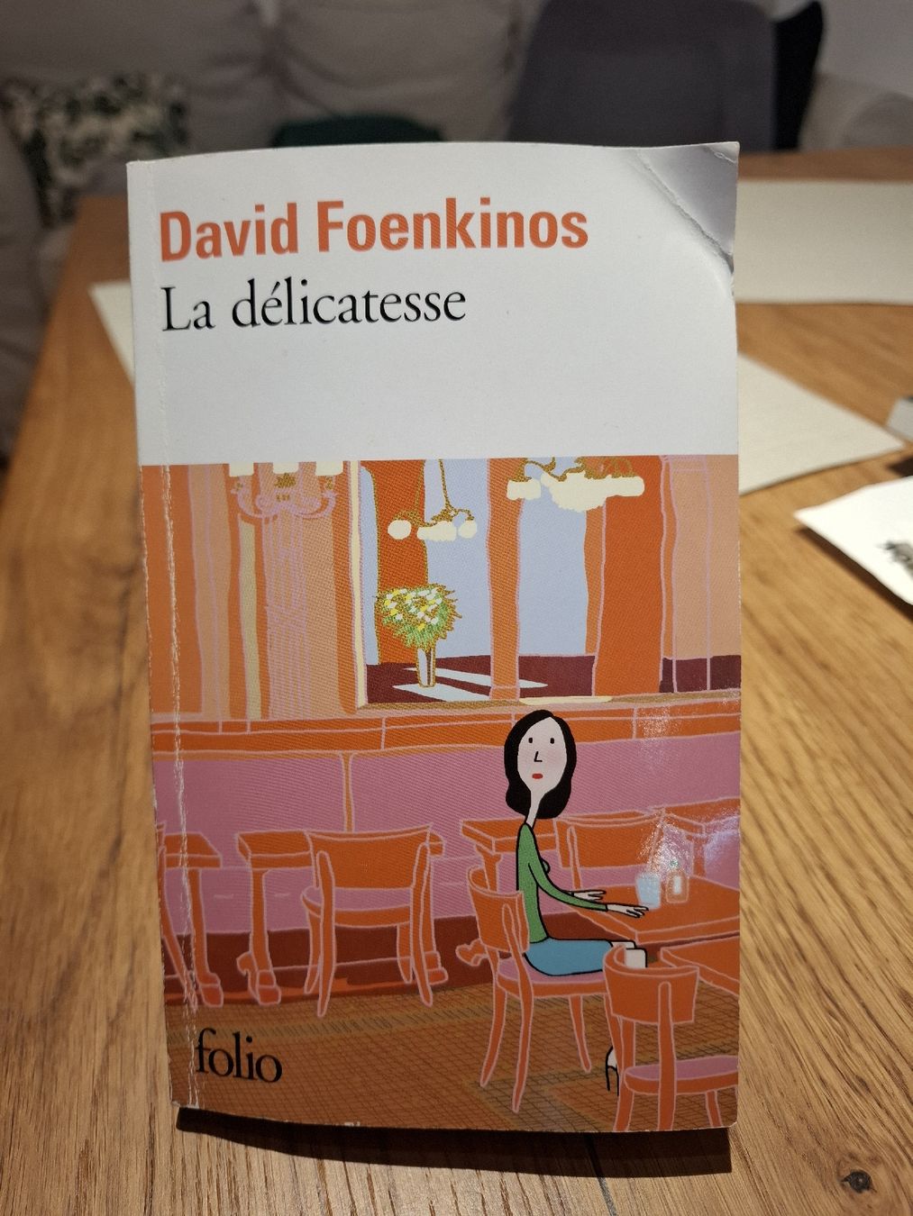 Libri: Buch David Foenkinos La délicatesse Taschenbuch  – Usato da Windisch venduto da SamTheCam