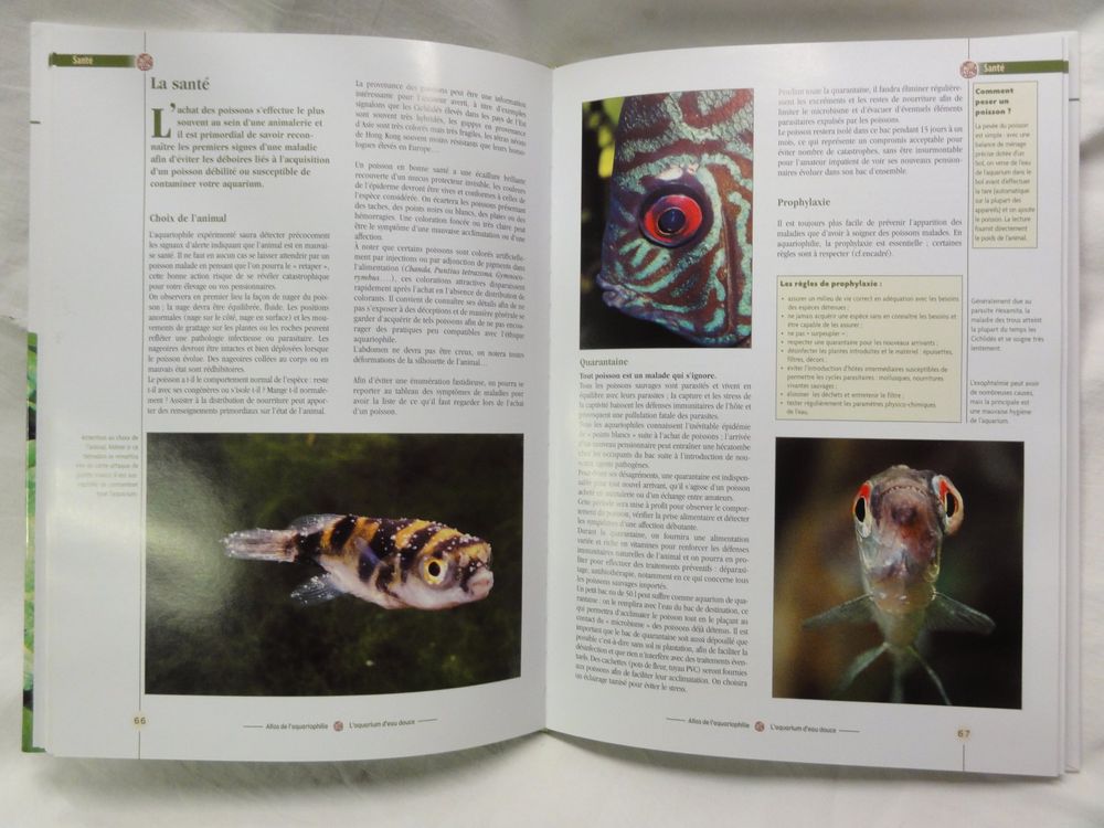 Atlas de l'aquariophilie 4