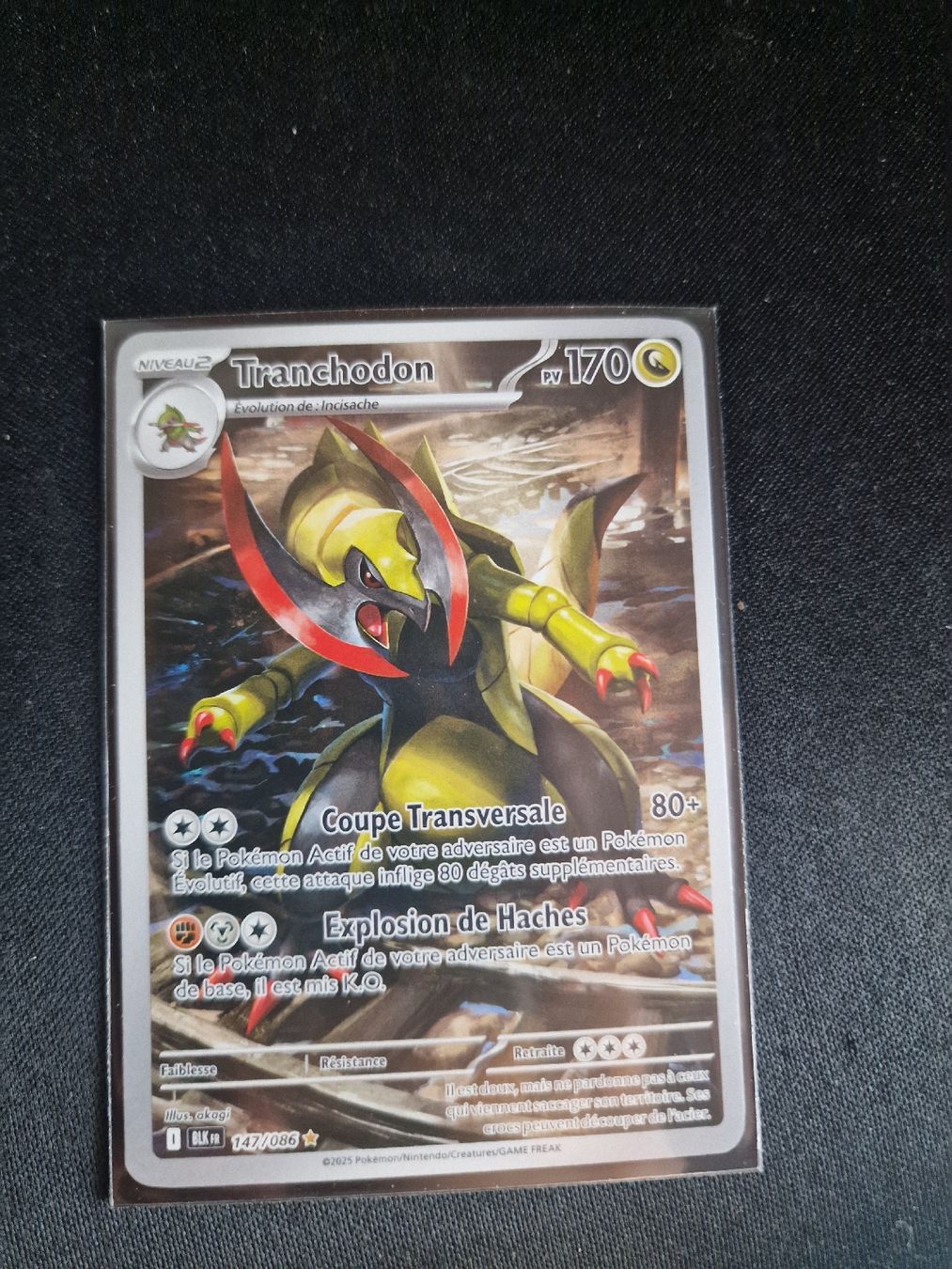Pokémon Cartes à collectionner: carte tranchodon pokemon – Neuf (Voir description) à La Croix-de-Rozon par bsd_6qxb