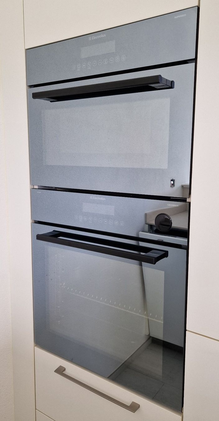 Electrolux Elettrodomestici da cucina: Electrolux Einbausteamer / Dampfgarer EBSL90SP – SuperSteam – Usato da Hinwil venduto da Felsenhof-Didi