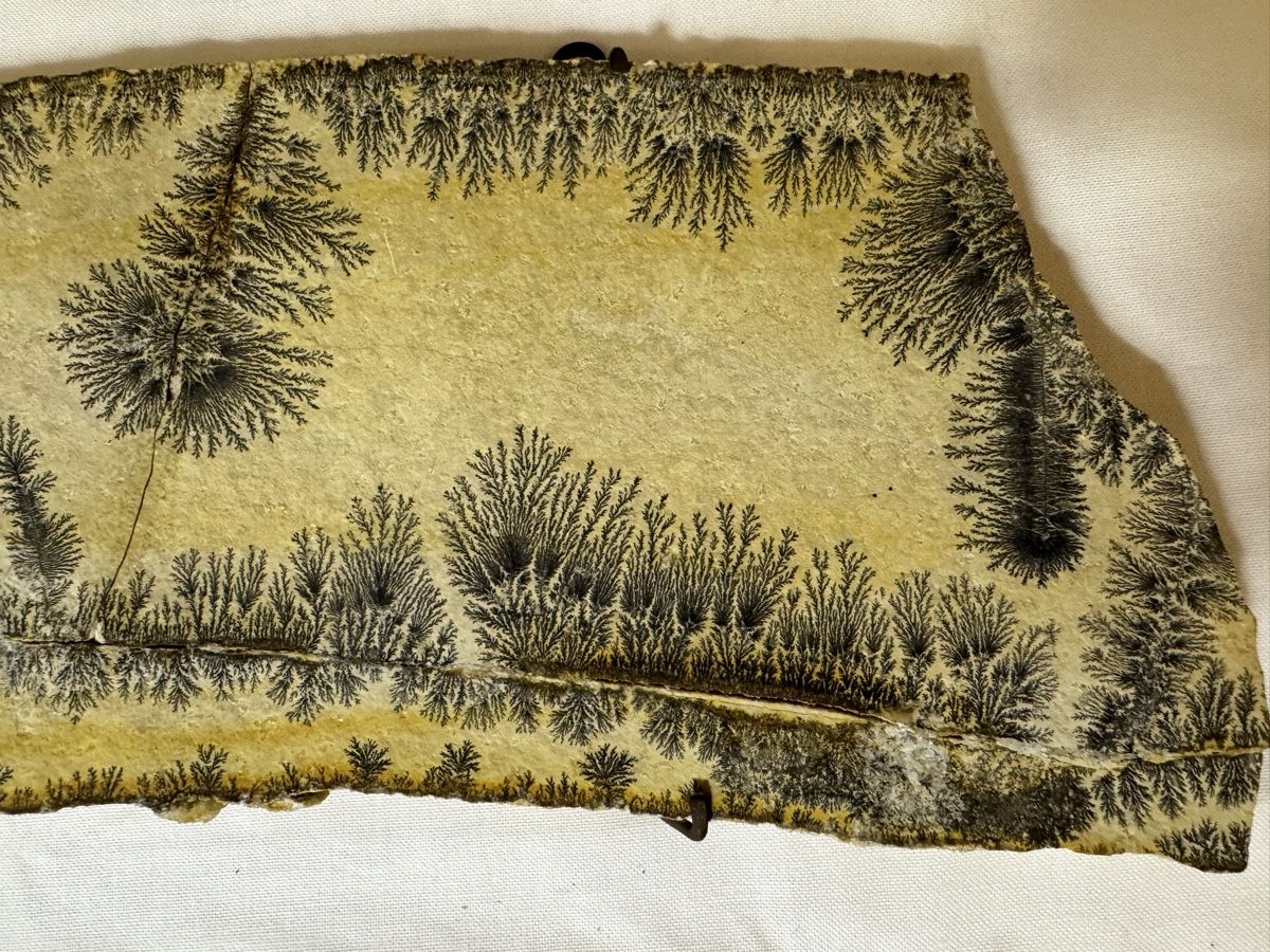Piatti di portata: Dendritenplatte 41 x 14 cm – Usato da Gränichen venduto da onkel_xxl 1