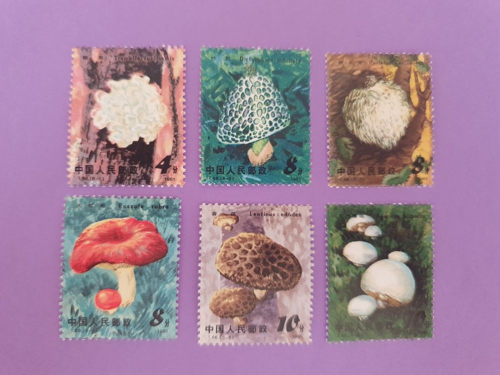 Collection De 100 Timbres Sur Le Thème Des Champignons - Pour Philatélistes Et Collectionneurs - Qualité Prophila - 4