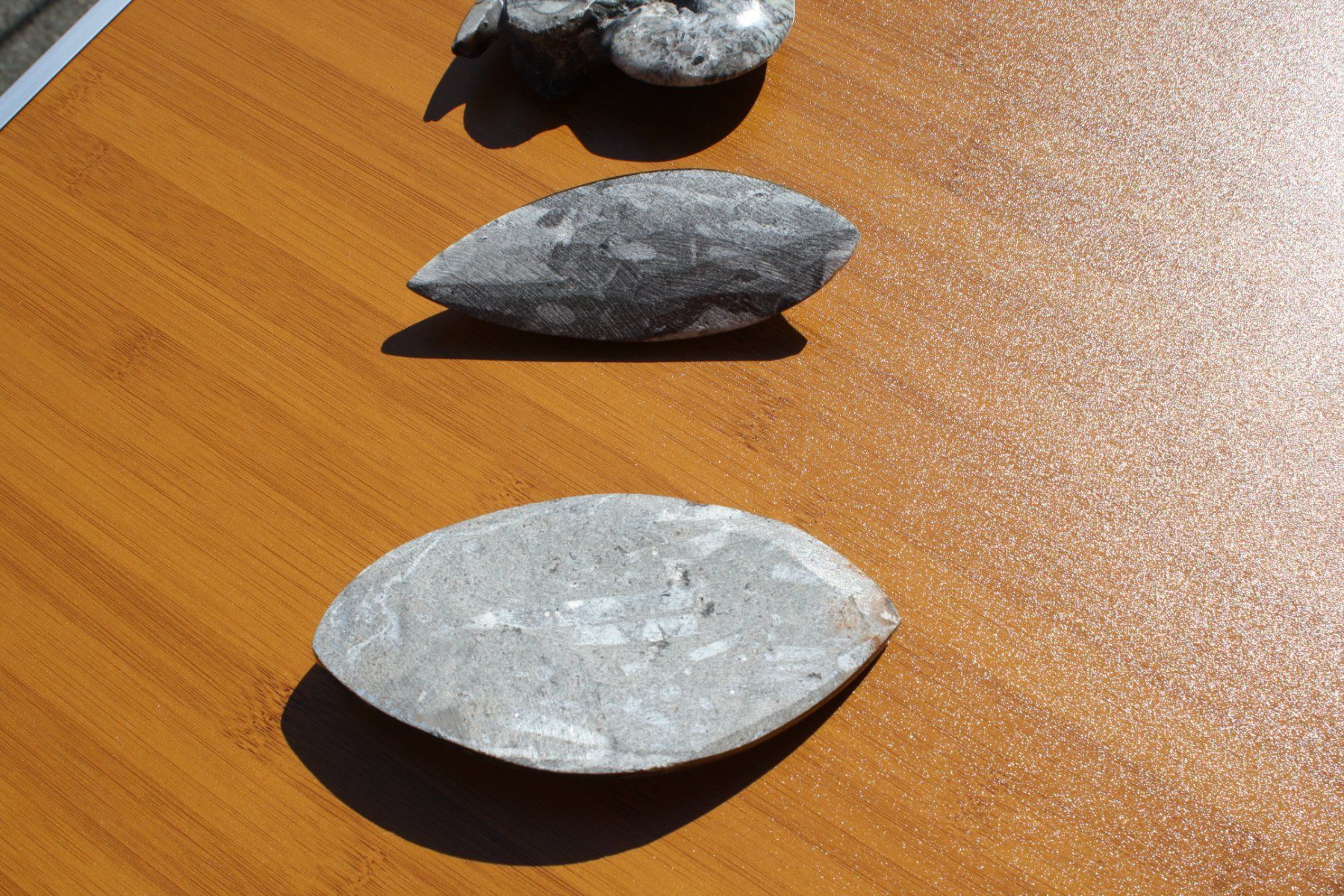 Fossili: 3 SCHÖNE STEINE POLIERT FOSSIL ECHT ?? – Usato da Wauwil venduto da Pneuedy 5