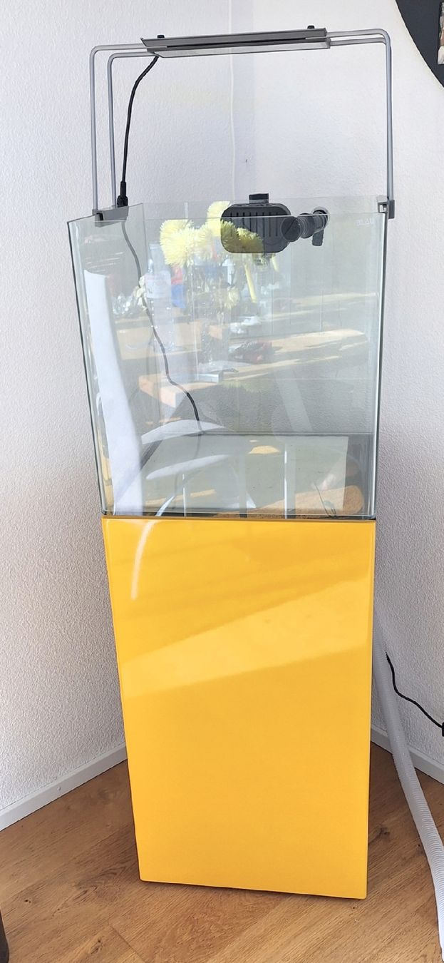 Acquari: Aquarium Würfel – Usato da Riedt b. Erlen venduto da Ducatiracer998s